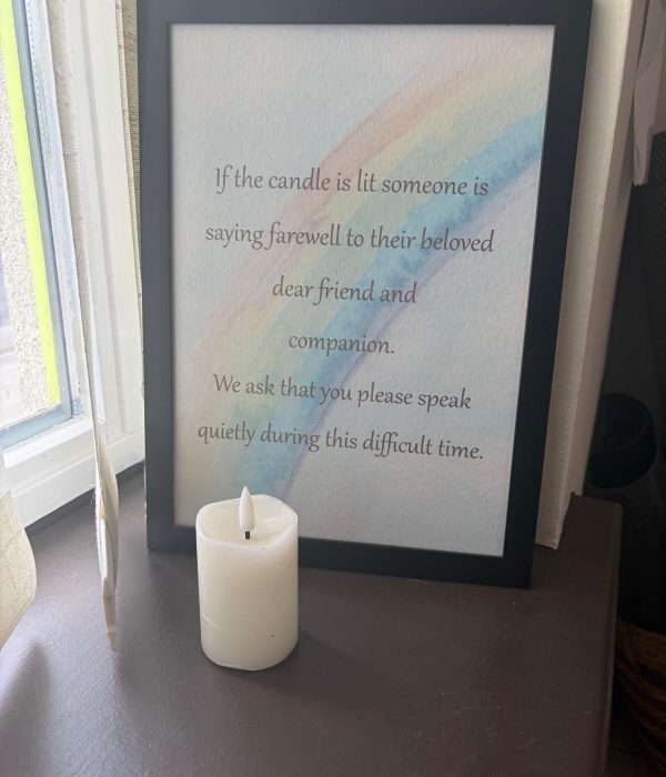 pet cremation 1